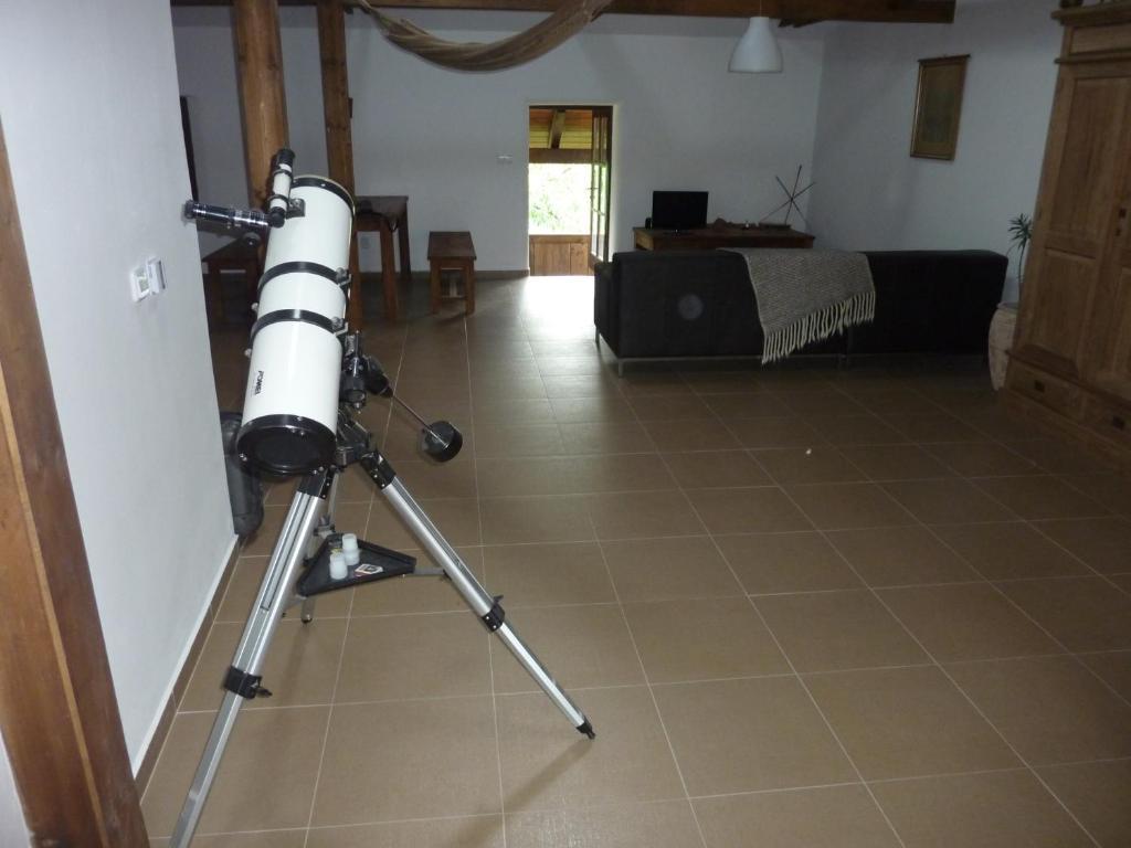 Holubnik Statecnych Zen Kralovych Hotell Luže Rom bilde